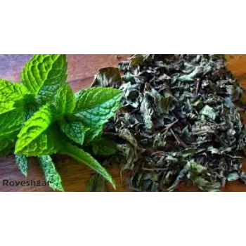 Rare Dry Mint Leaves