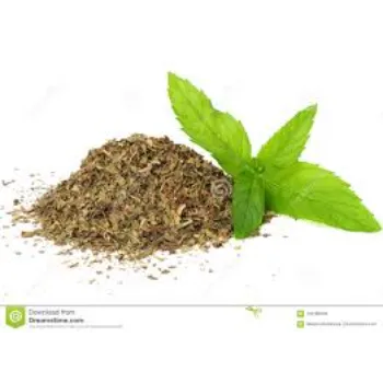 Natural Dry Mint Leaves