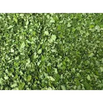 Common Moringa Leaves