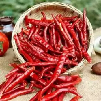 common Dry Red Chilli