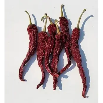Dry Red Chilli
