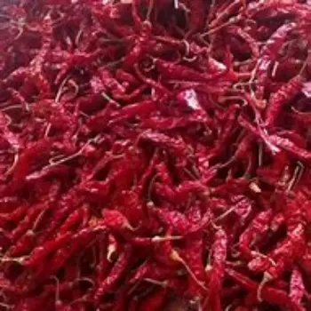 Dry Red Chilli