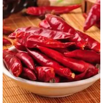Common Dry Red Chilli