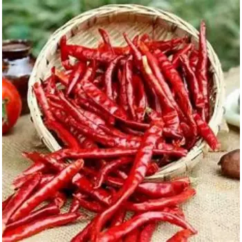 Fresh Dry Red Chilli