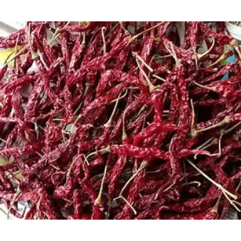 Fresh Dry Red Chilli