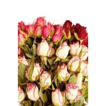  fresh  Dry Rose