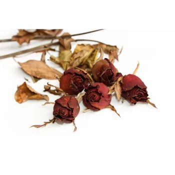 Dry Rose Leaves
