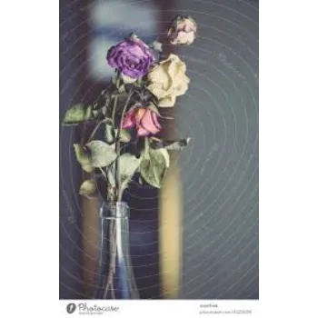 Natural Dry Rose Leaves