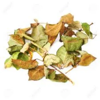 natural Dry Rose Leaves