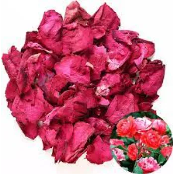 Rare Dry Rose Leaves