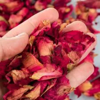  Dry Rose Leaves