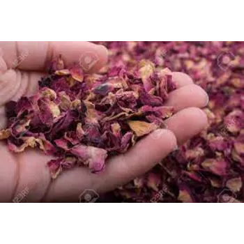 Common Dry Rose Petal