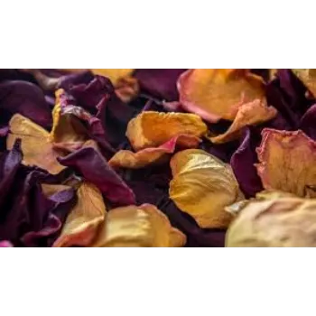 Fresh Dry Rose Petal