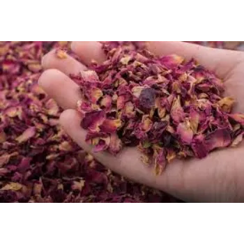 Fresh Dry Rose Petal