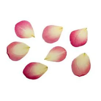 Natural Dried Rose Petal