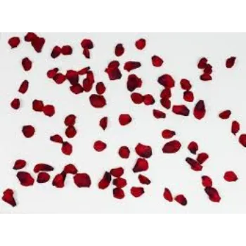 Fresh Dry Rose Petal