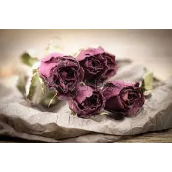 Fresh Dry Rose