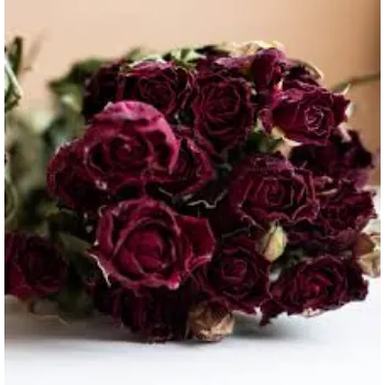 Fresh Dry Rose