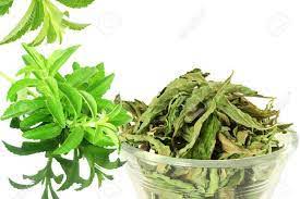 RAJESWARI NURSERY Dry Stevia Leaf