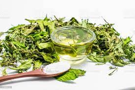 Roshni Agri forestry Dry Stevia Leaf