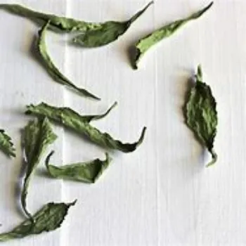 Natural Dry Stevia Leaf