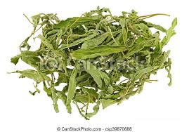Organic Dry Stevia Leaf