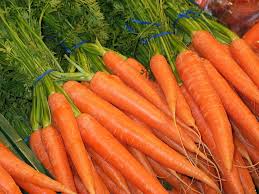 Dried Carrot