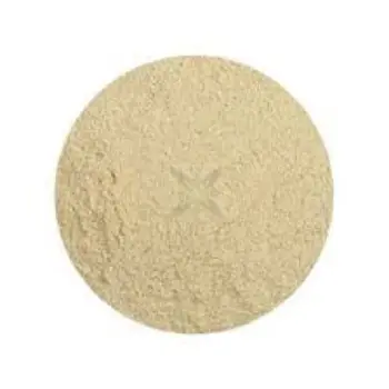 Natural Cashew Nut Powder