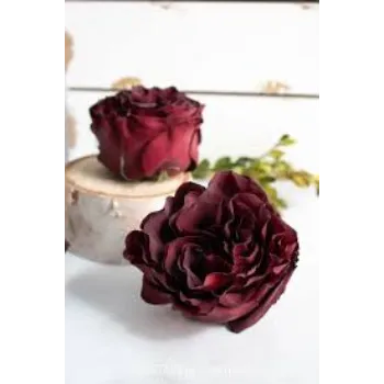 Fresh Dry Rose Flowers