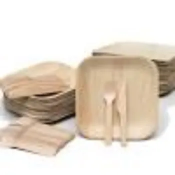 Future Box Private Limited Eco Palm Leaf Plate