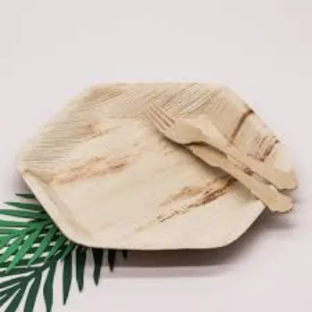 Disposable Eco Palm Leaf Plate