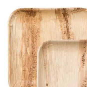 Disposable Eco Palm Leaf Plate