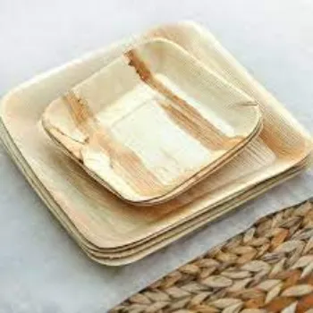  Eco Palm Leaf Plate