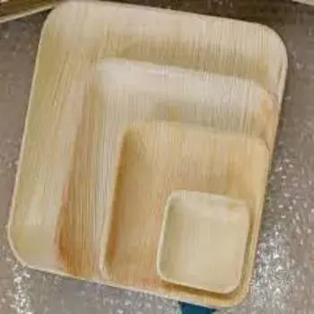 Rectangular Eco Palm Leaf Plate