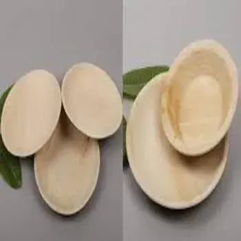 Eco Palm Leaf Plate