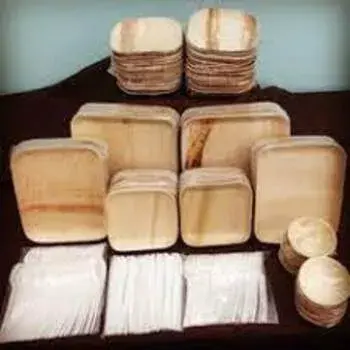 Fine Finish Eco Palm Leaf Plate