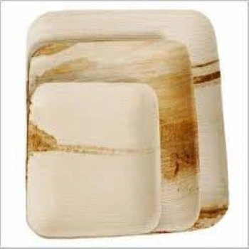 Good Quality Eco Palm Leaf Plate
