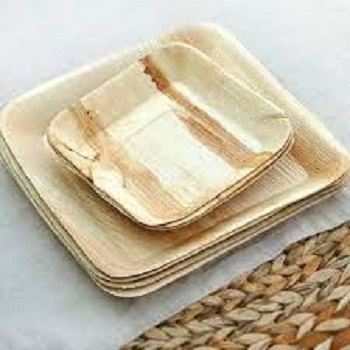 Rust Proof Eco Palm Leaf Plate