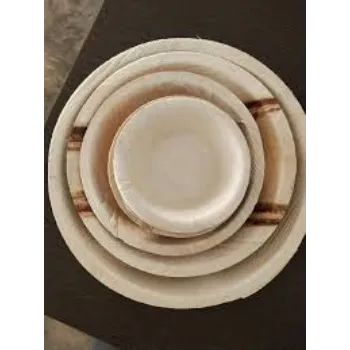 New Eco Palm Leaf Plate