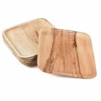 New Eco Palm Leaf Plate