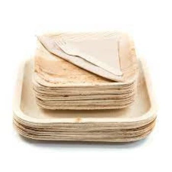 Eco Palm Leaf Plate