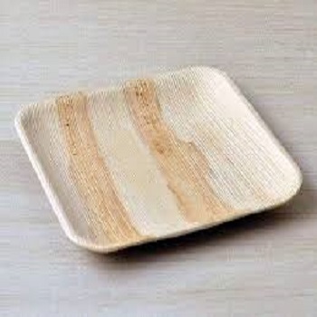 Light Weight New Eco Palm Leaf Plate