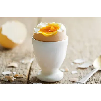 Kp Egg Cup