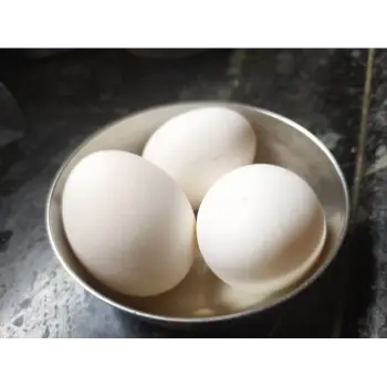 Plain & Printed Egg Cup