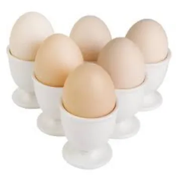 Egg Cup White Color