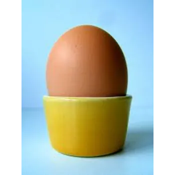Sai Souriish Enterprises Egg Cup