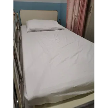 Plain Electric Hospital Bed