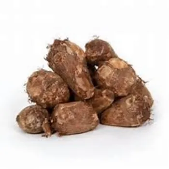 Elephant Yam