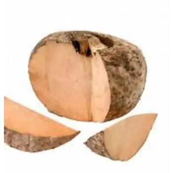Elephant Yam