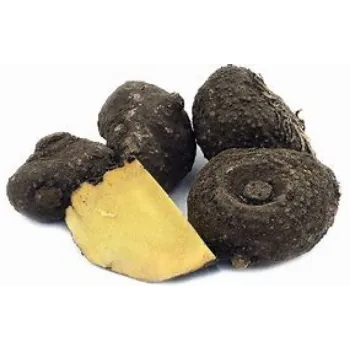 Natural Elephant Yam